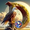 deivid91072