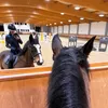 anna_equestr1an