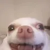 xcloudyxy