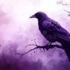 violet.raven76