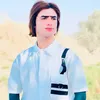 zs_h2