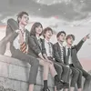 meteorsvinexs