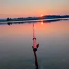 vihoat