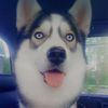 amelia_allen0823