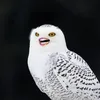 rynthechin