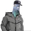 mannyfopresedent