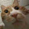 juliankimm_