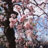 nghia_2900