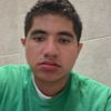 the_walrus12