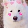 sad_anime138579