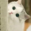 jeffforyouuu