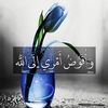 soma66287