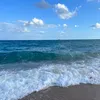 laraxisabel