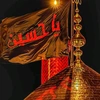 am_alali8