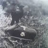 Golden Hawk