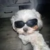 thaoanhnguyen26