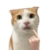 ktchienn