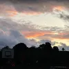 noah_72820