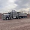 sean3174