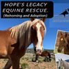 hopelegacyfarmhome_300