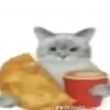 skaymun6