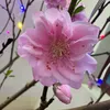 huyhoang_1982