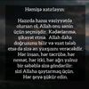 asif_memmedov_official