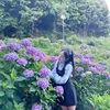 nhiii14061603