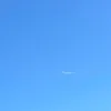 nogi_zaka0808