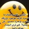 user20666779857175