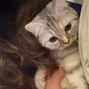 yara_sirwann