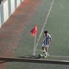 feroo._7