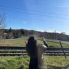 lili_17_8_