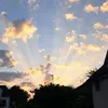 cedric_650