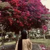 hawa_931