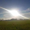 taitri1307