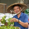 loihoang.mk