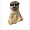 communmeerkat