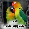 userj5ps8o9orm