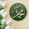 hajisalar631
