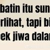 styhasfat224