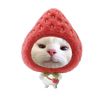 hersky_lin