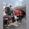 user129wxmgu1o
