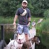 basia_bullterrier