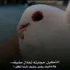 gejdgek