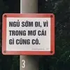 quanhs11
