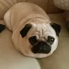 mmmmm.gswygeygflhcidjbc
