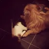 xbelle13x