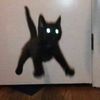 saladengineer0.6