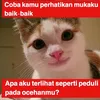 ilyasrsdn